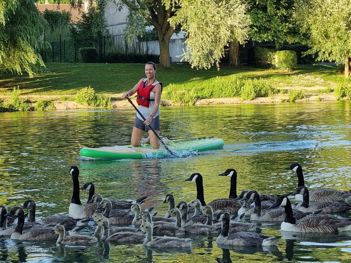 Paddle en nature sur la Marne — bernaches sauvages